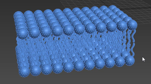 sci科研制图|如何用3ds max做磷脂双分子层