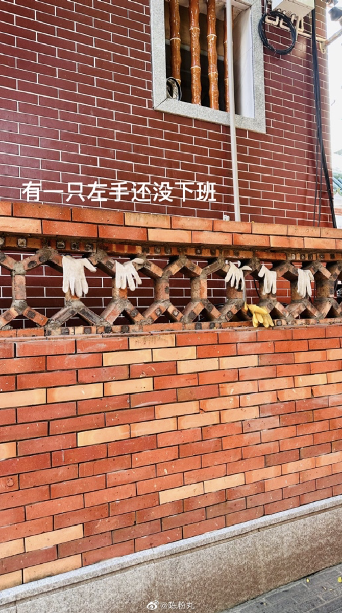 陈粉丸:从无师自通到无限可能(图ZMTQ3OTAyNzI=) - 观点 - 站酷设计师站酷专访原创素材 - 站酷ZCOOL