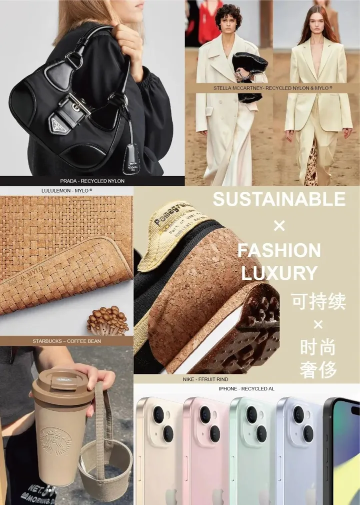 专题报告 | 2024汽车CMF流行趋势:含色彩、材料分析