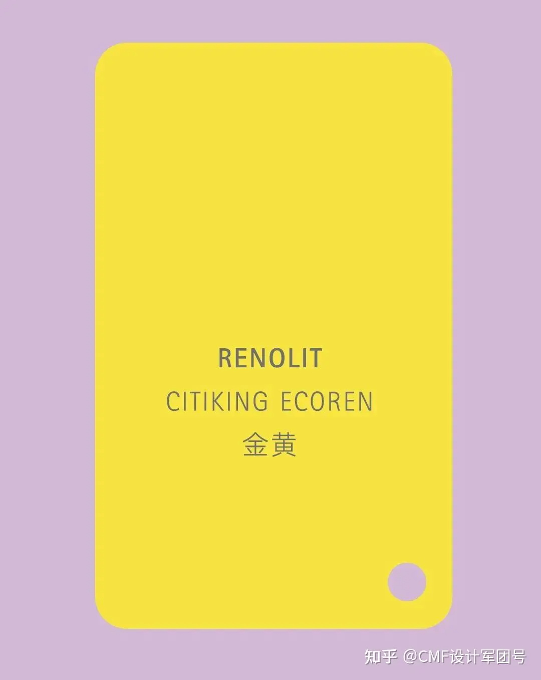 2025+NCS全球色彩流行趋势解读