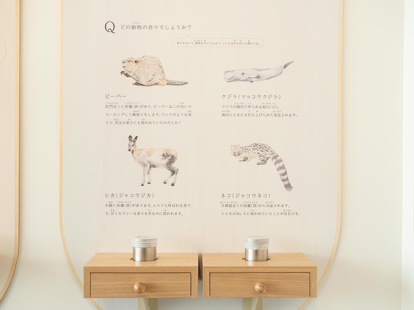 导视系统设计 自然科学博物馆森之工社（图ZMTQ3OTUzNTY=） - 资讯 - 站酷设计师导视标视学院APP原创素材 - 站酷ZCOOL