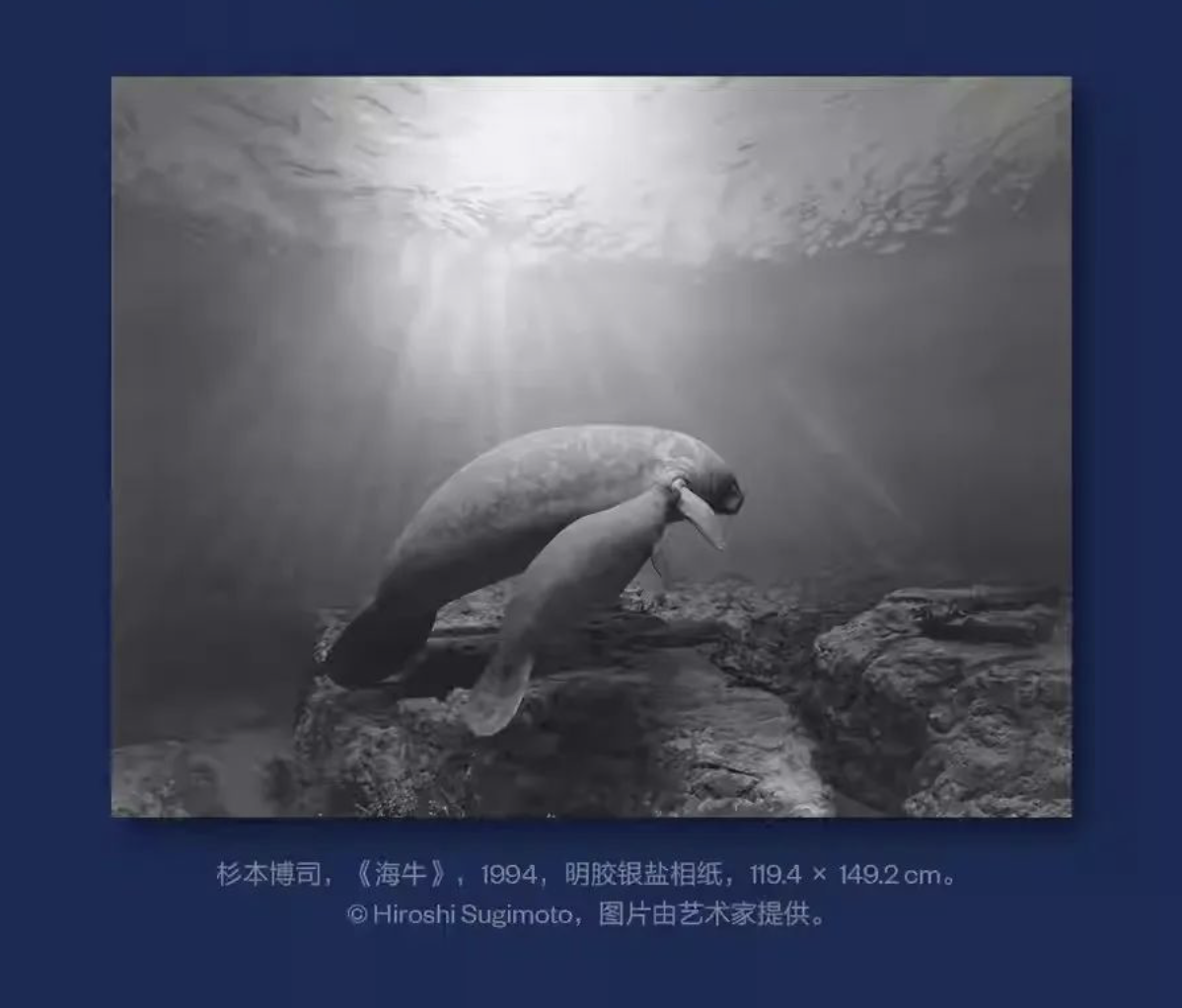 日本大阪世博会海报/娃哈哈包装被爆改/2024纽约节/古驰安可拉红