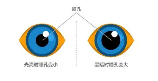 「大厂设计师」教你一文读懂暗色模式(图ZMTQ3MTE4OTI=) - 教程 - 站酷设计师阿琳01原创素材 - 站酷ZCOOL
