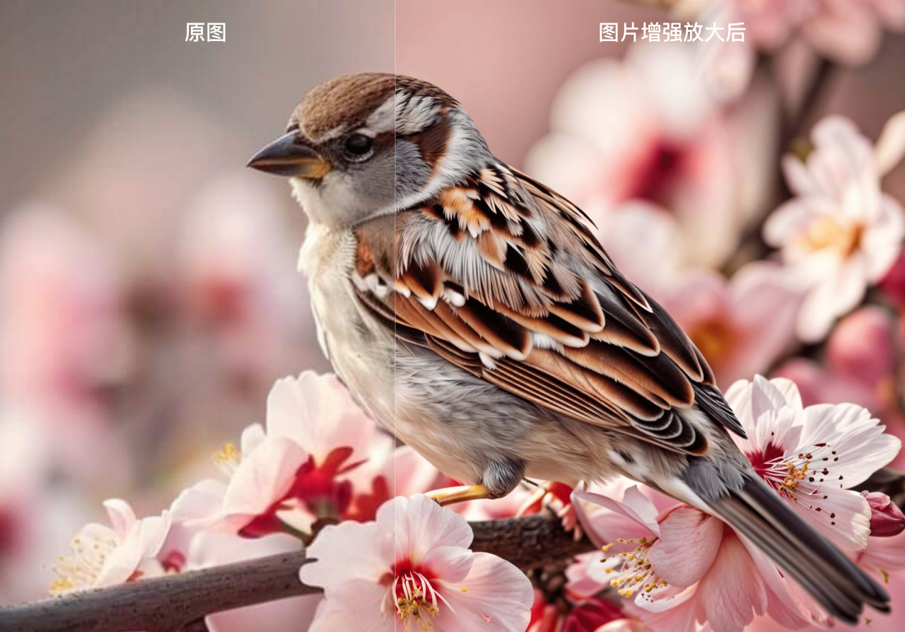 AIGC爆肝测评Mar. 30天最全AI资讯及实用测评(图ZMTQ3NDAxNzY=) - 评测 - 站酷设计师新浪MDC原创素材 - 站酷ZCOOL