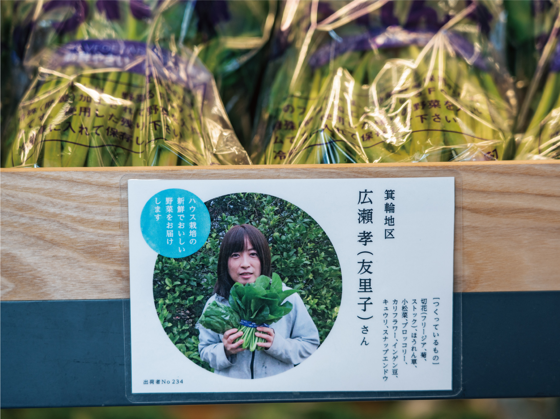 导视系统设计 道之站湘南（图ZMTQ3NDY3MzY=） - 资讯 - 站酷设计师导视标视学院APP原创素材 - 站酷ZCOOL