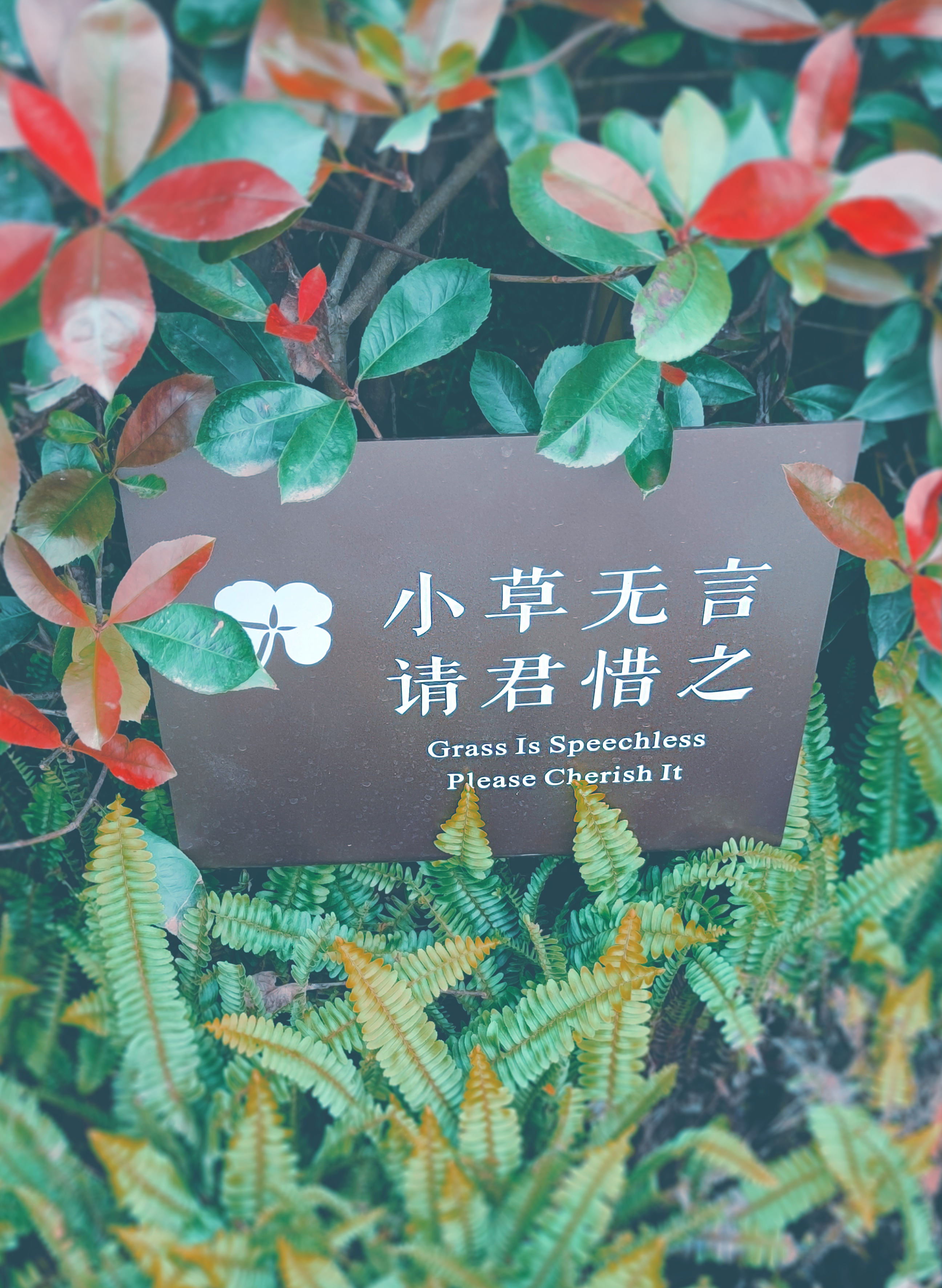 重庆保利天珺示范区导视标识