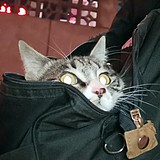 方不圆的头像
