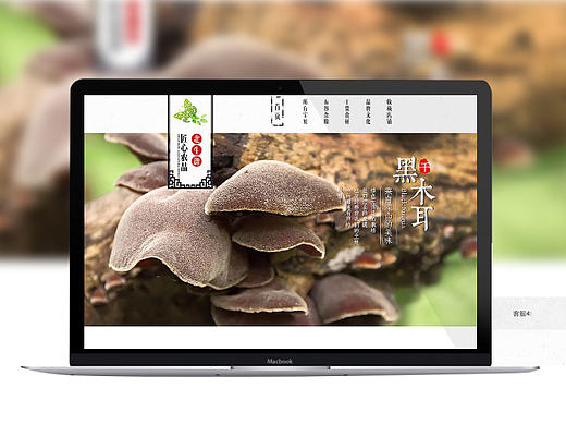 食品干货首页（个人主页-ZMTg5NjQ2Njg=） - 电商 - 站酷设计师小小嘚尾巴原创素材 - 站酷ZCOOL