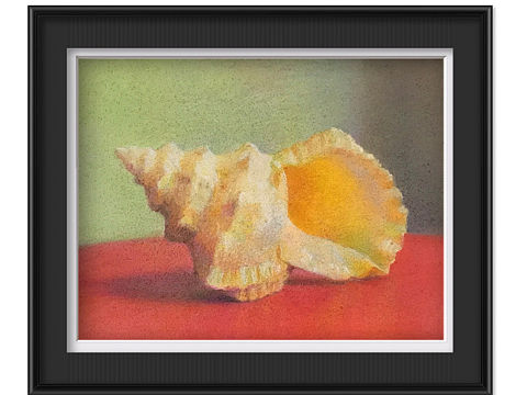 小海螺（个人主页-ZMzEyODkxNjA=） - 创作习作 - 站酷设计师画画的小石头原创素材 - 站酷ZCOOL