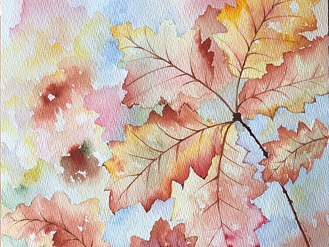 《枫叶🍁》水彩手绘过程图