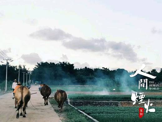 乡村•人间烟火
