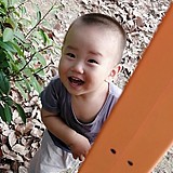 第六只羊的头像