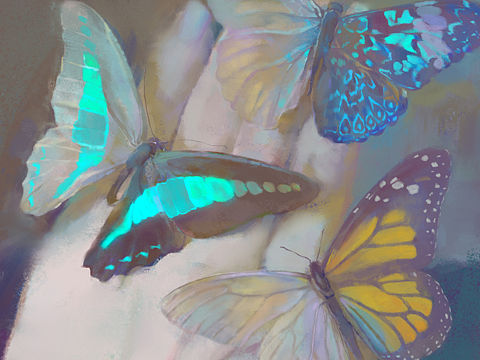 脆弱而璀璨的生命