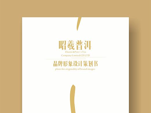 《昭羲普洱品牌形象策划书》课题作业