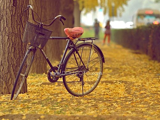 春、夏、秋、冬自行车（个人主页-ZMTQwMzUwMjA=） - 风光摄影 - 站酷设计师bobofoto原创素材 - 站酷ZCOOL