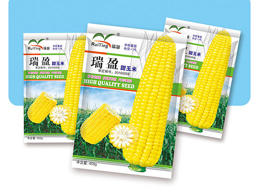 农业种子包装设计—玉米包装袋