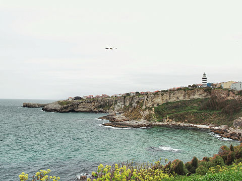 冷冷的黑海
