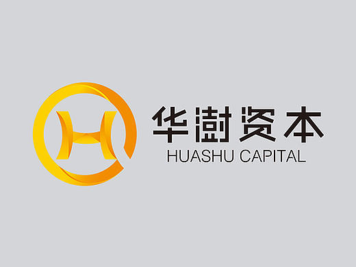 资本公司标志设计