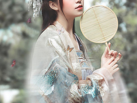 梦蝶