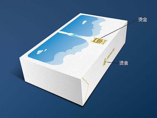 包装效果图