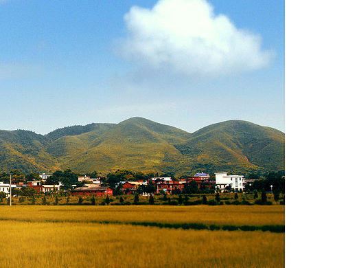 調(diào)色（個(gè)人主頁(yè)-ZMTU1NDYxMjA=） - 其他 - 站酷設(shè)計(jì)師成長(zhǎng)的青藤原創(chuàng)素材 - 站酷ZCOOL