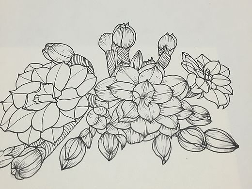 曾经的坚持先生