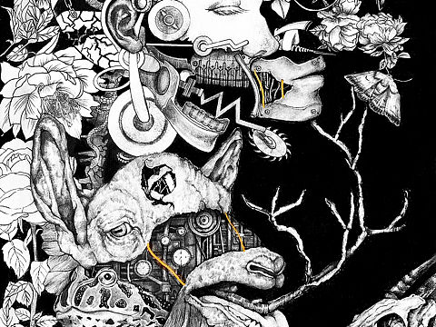 素描黑白插画