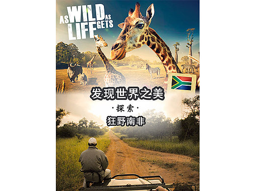 狂野南非定制旅游