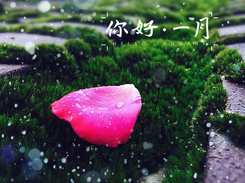 你好一月（個(gè)人主頁(yè)-ZMTY3NDkxNzI=） - 風(fēng)光攝影 - 站酷設(shè)計(jì)師淘谷視覺(jué)原創(chuàng)素材 - 站酷ZCOOL