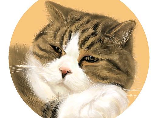 【板绘猫咪】（个人主页-ZNTkyMzY4NzY=） - 创作习作 - 站酷设计师车哩子原创素材 - 站酷ZCOOL