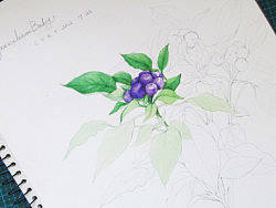 梦想de修行 系列之初起（个人主页-ZMTc4NTA0NA==） - 绘画 - 站酷设计师自由的猞猁原创素材 - 站酷ZCOOL