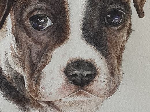 三花姑娘（個人主頁-ZMjI3NjAwODg=） - 繪畫 - 站酷設(shè)計(jì)師吳常辛原創(chuàng)素材 - 站酷ZCOOL