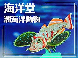 【摆拍】【KAIYODO】【玩玩具学姿势】 海洋堂 黑潮海洋动物第二弹