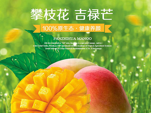 芒果详情页众筹页面