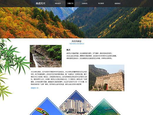 家乡林州旅游网页