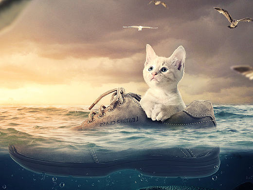 海报合成练习-小猫漂流记