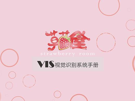 VIS视觉识别系统手册设计