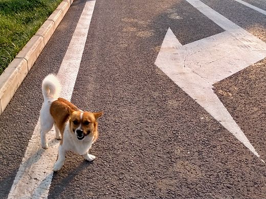 寻（个人主页-ZNDUwNjY1NDA=） - 风光摄影 - 站酷设计师斯文怪兽z原创素材 - 站酷ZCOOL