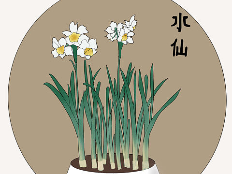 植物集-水仙花