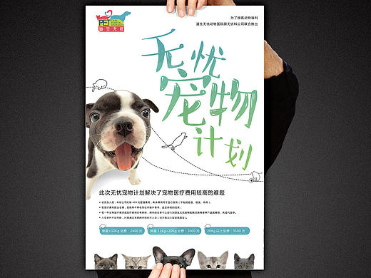 给朋友的宠物医院设计的3款海报