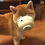 TIREGO的头像