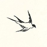 voider617的头像