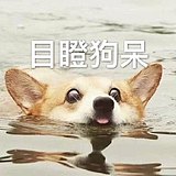 我陆左左啊的头像