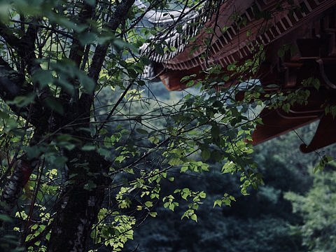 止止（個(gè)人主頁-ZMzI0MTM4NTI=） - 風(fēng)光攝影 - 站酷設(shè)計(jì)師扣冰原創(chuàng)素材 - 站酷ZCOOL