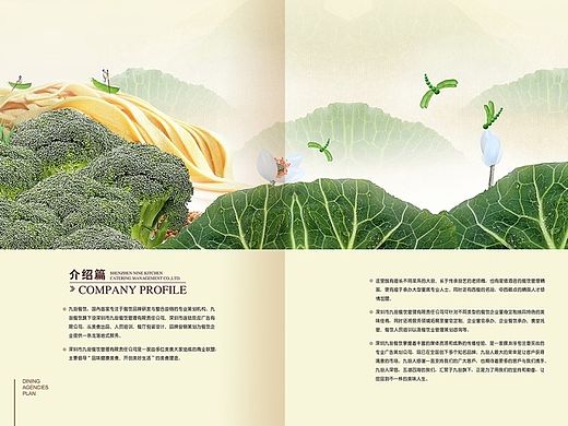深圳九厨餐饮画册