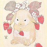 乔栖的头像