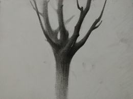 枪伤Ⅲ