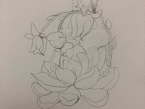 手绘插画（个人主页-ZNDE1MDAwNzY=） - 创作习作 - 站酷设计师果子李emily原创素材 - 站酷ZCOOL