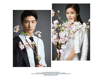 金夫人十大优势