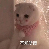 一二喵哒的头像